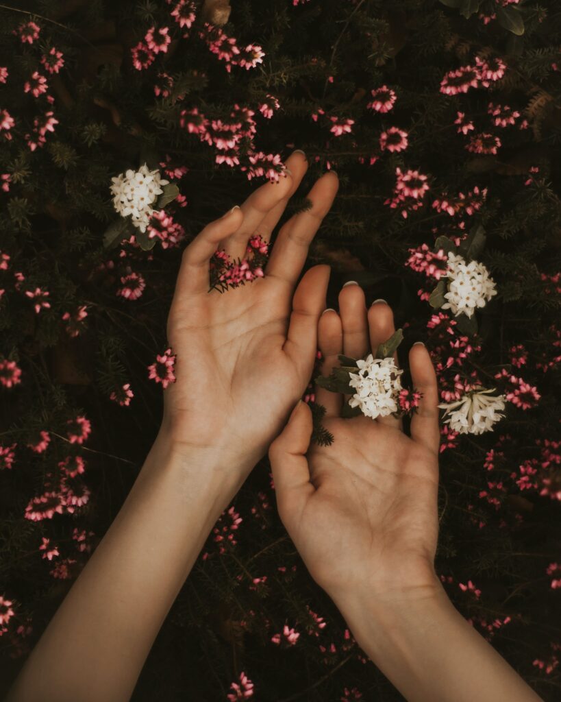 꽃 속에 올려있는 손