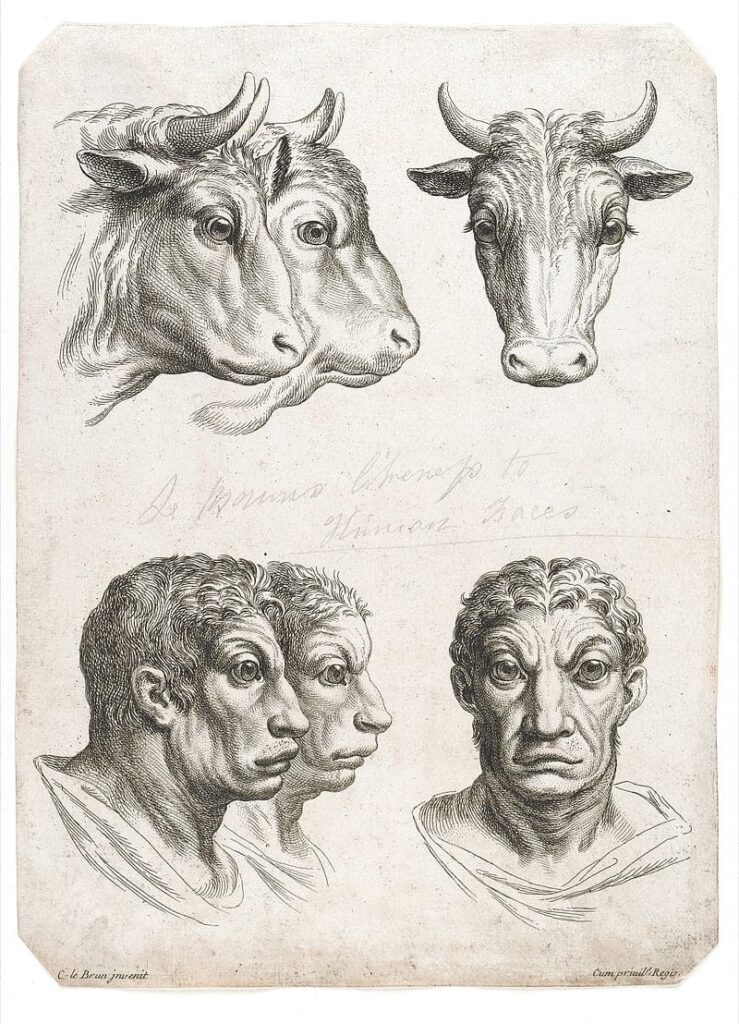 작가 미상, "소의 머리와 소처럼 생긴 사람의 머리: 골상학적 관계를 보여 주는 가각의 세 모습", 1820, 샤를 르 브뤙의 그림을 바탕으로 만든 에칭화.