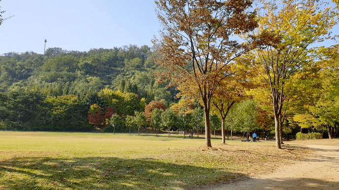 난지천공원