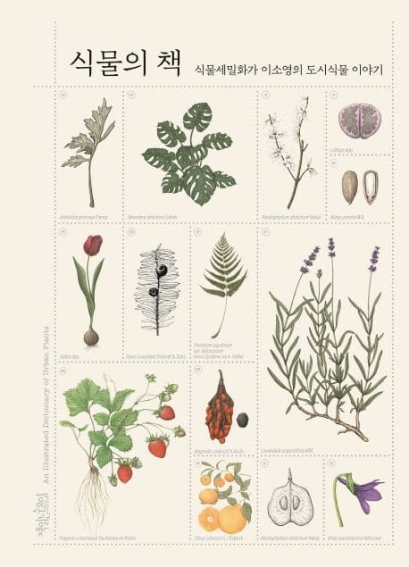 식물 세밀화 『식물의 책』