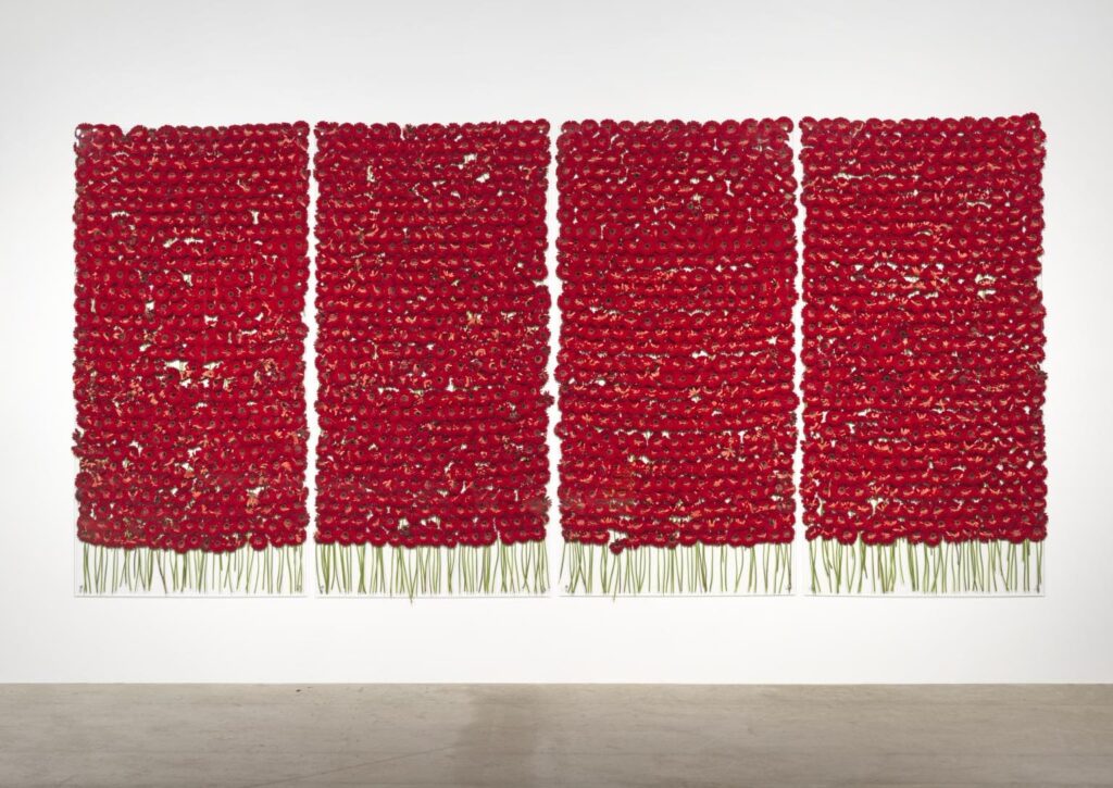 Anya Gallaccio, “Preserve ‘beauty’”, 1991–2003