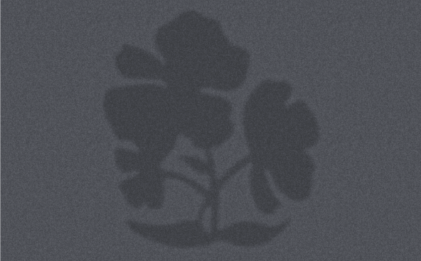 특성이미지-라이브러리