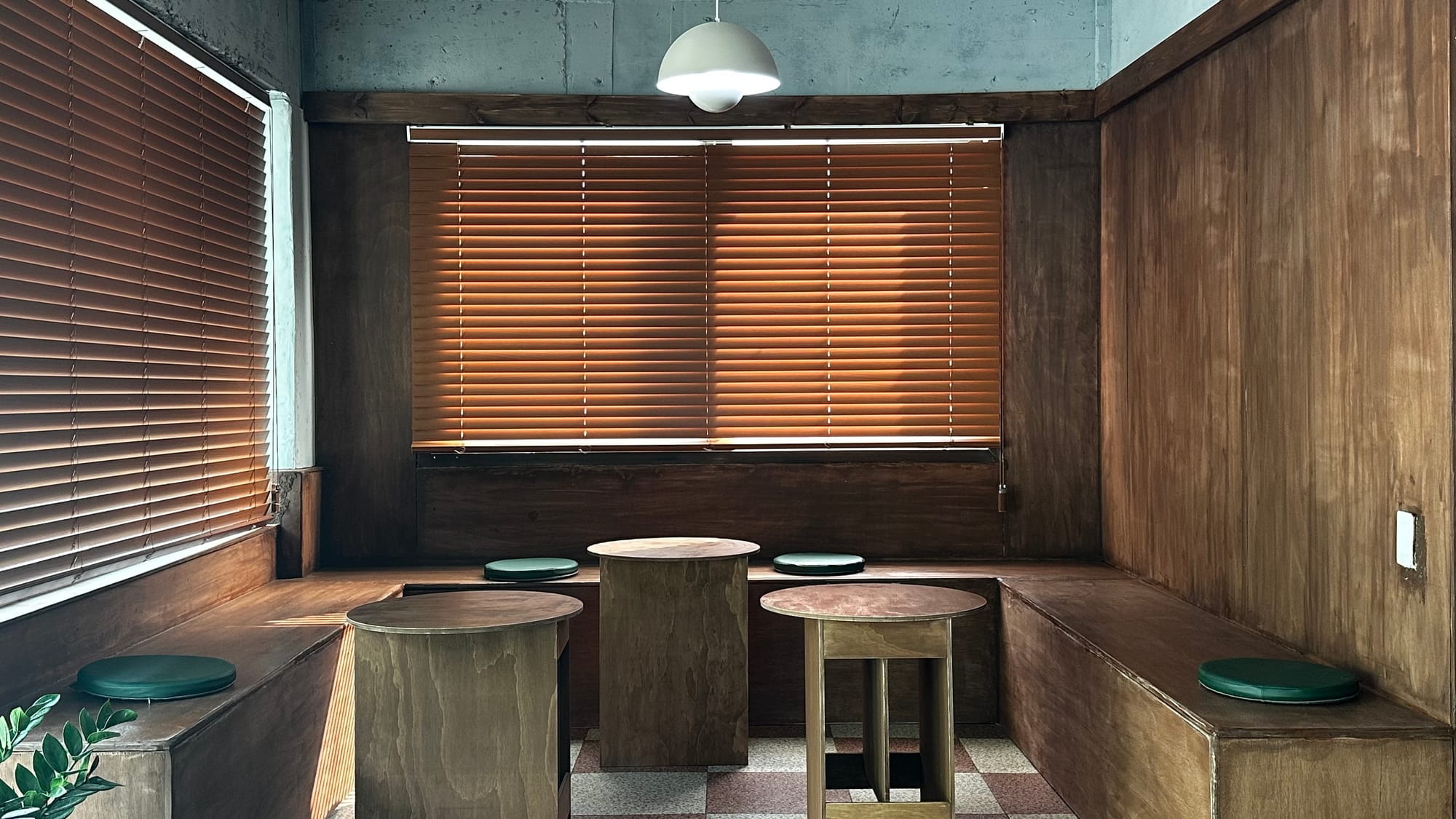 빛과 나무 그림자 실험